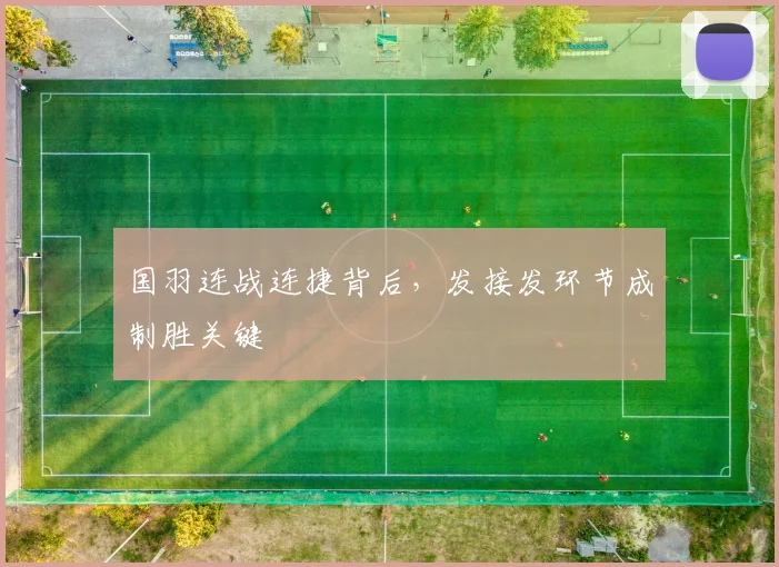 国羽连战连捷背后，发接发环节成制胜关键