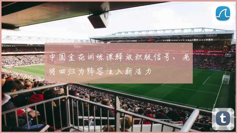 中国金花训练课释放积极信号，老将回归为阵容注入新活力