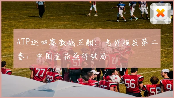 ATP巡回赛激战正酣：老将焕发第二春，中国金花亟待破局