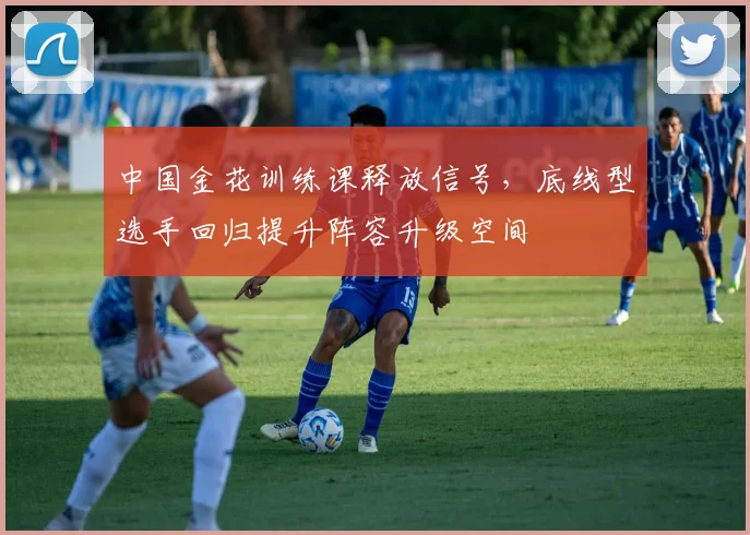 中国金花训练课释放信号，底线型选手回归提升阵容升级空间